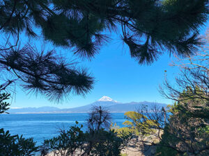 大瀬崎から望む富士山