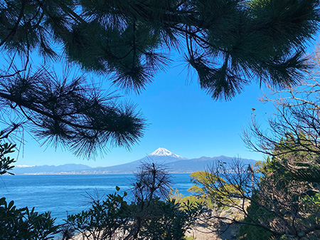 大瀬崎から望む富士山